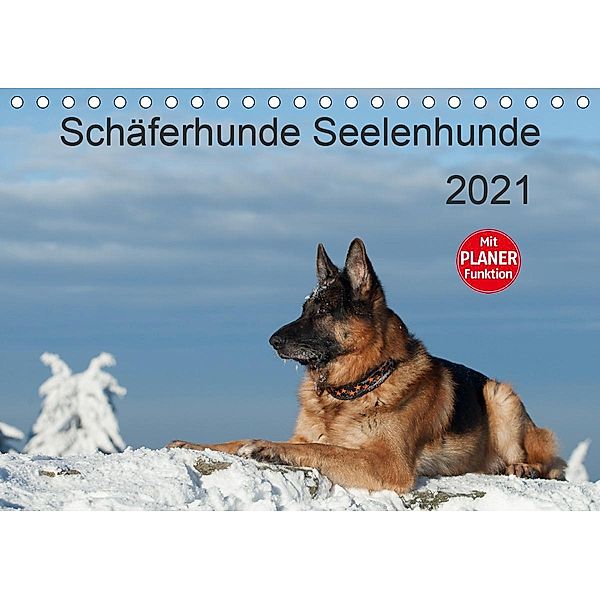 Schäferhunde SeelenhundeCH-Version (Tischkalender 2021 DIN A5 quer), Petra Schiller