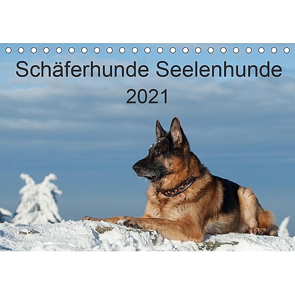 Schäferhunde SeelenhundeCH-Version (Tischkalender 2021 DIN A5 quer), Petra Schiller