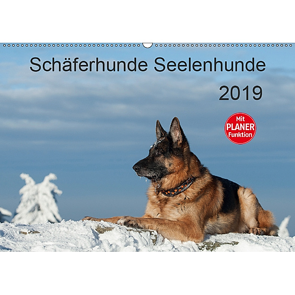 Schäferhunde SeelenhundeCH-Version (Wandkalender 2019 DIN A2 quer), Petra Schiller