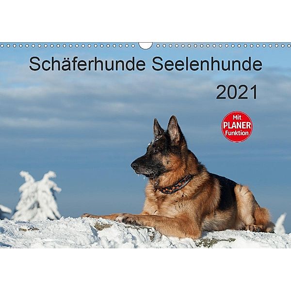 Schäferhunde SeelenhundeCH-Version (Wandkalender 2021 DIN A3 quer), Petra Schiller