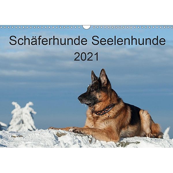 Schäferhunde SeelenhundeCH-Version (Wandkalender 2021 DIN A3 quer), Petra Schiller