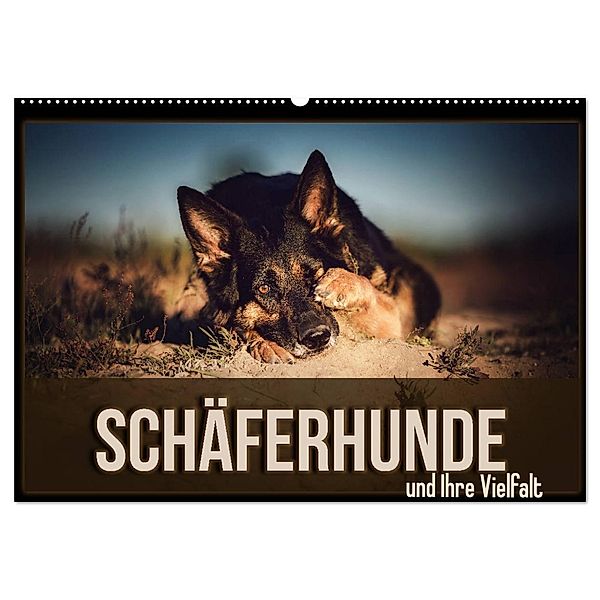 Schäferhunde und Ihre Vielfalt (Wandkalender 2024 DIN A2 quer), CALVENDO Monatskalender, Sabrina Wobith Photography