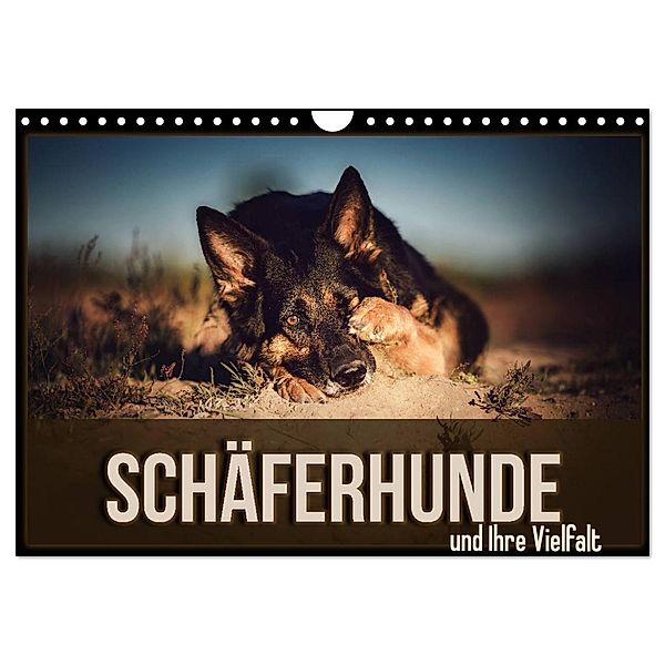 Schäferhunde und Ihre Vielfalt (Wandkalender 2024 DIN A4 quer), CALVENDO Monatskalender, Sabrina Wobith Photography