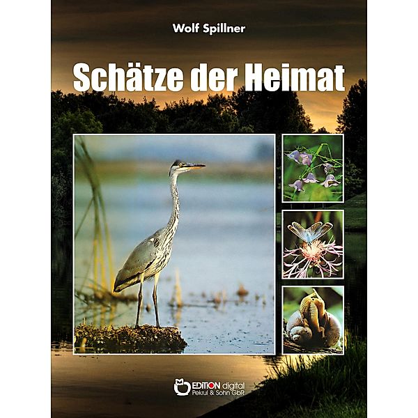 Schätze der Heimat, Wolf Spillner