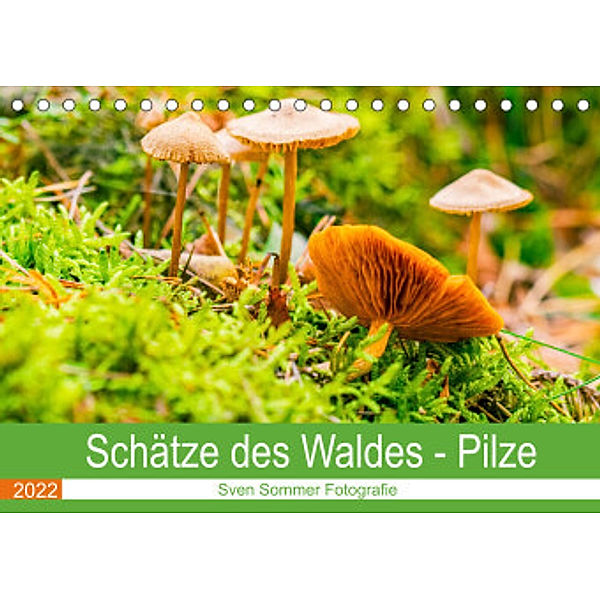 Schätze des Waldes - Pilze (Tischkalender 2022 DIN A5 quer), Sven Sommer Fotografie