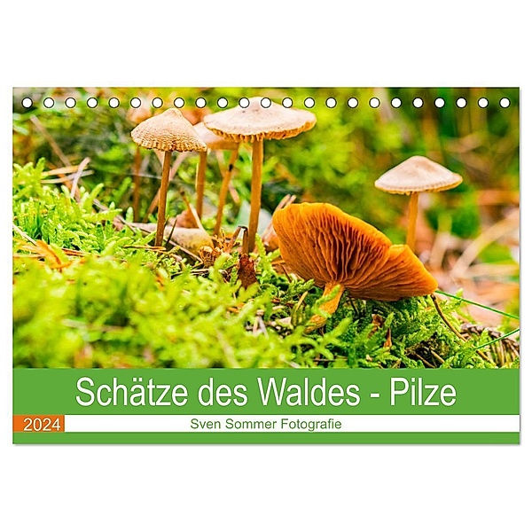 Schätze des Waldes - Pilze (Tischkalender 2024 DIN A5 quer), CALVENDO Monatskalender, Sven Sommer Fotografie