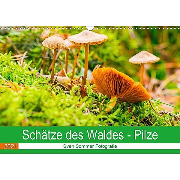 Schätze des Waldes - Pilze (Wandkalender 2021 DIN A3 quer), Sven Sommer Fotografie