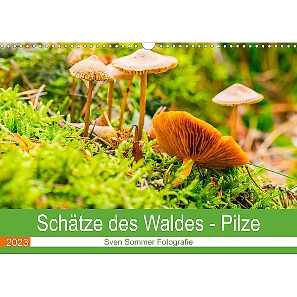 Schätze des Waldes - Pilze (Wandkalender 2023 DIN A3 quer), Sven Sommer Fotografie