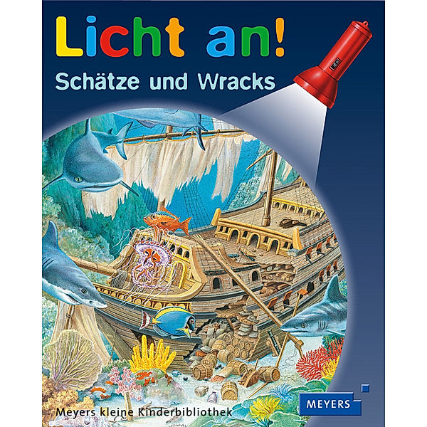 Schätze und Wracks / Licht an! Bd.11, Claude Dellafosse