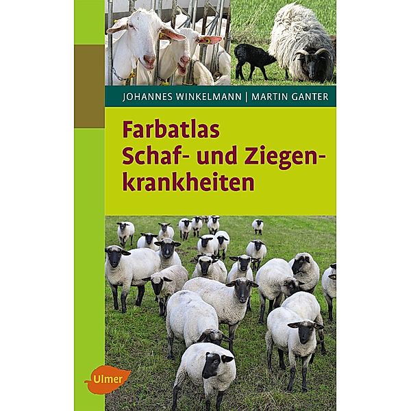 Schaf- und Ziegenkrankheiten, Johannes Winkelmann, Martin Ganter
