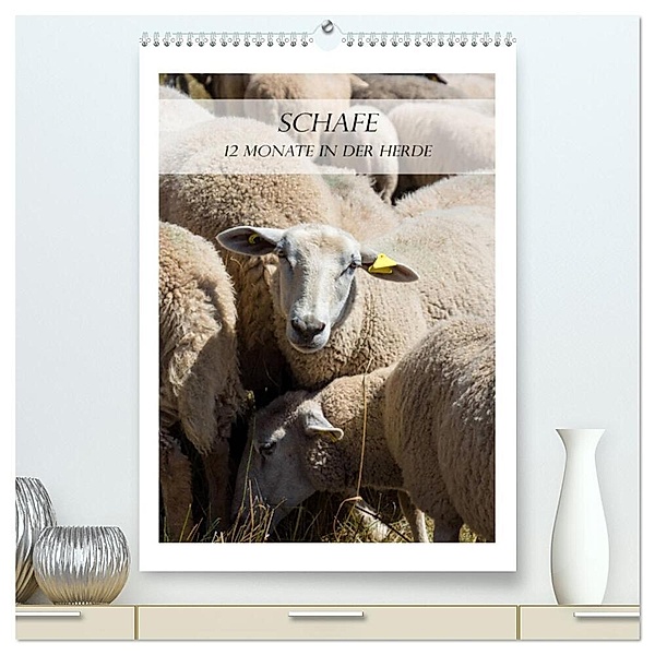 Schafe - 12 Monate in der Herde (hochwertiger Premium Wandkalender 2024 DIN A2 hoch), Kunstdruck in Hochglanz, Stefanie und Philipp Kellmann
