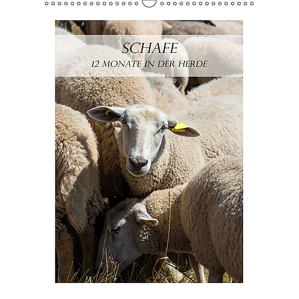 Schafe - 12 Monate in der Herde (Wandkalender 2019 DIN A3 hoch), Stefanie Kellmann