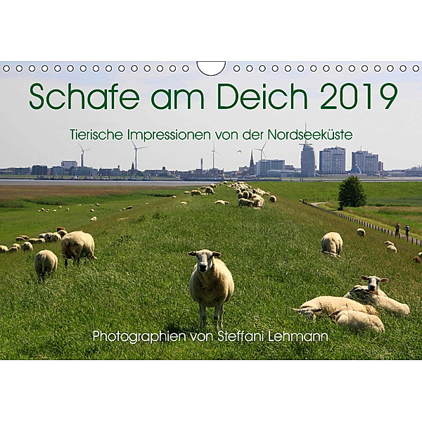 Schafe am Deich 2019. Tierische Impressionen von der Nordseeküste (Wandkalender 2019 DIN A4 quer), Steffani Lehmann