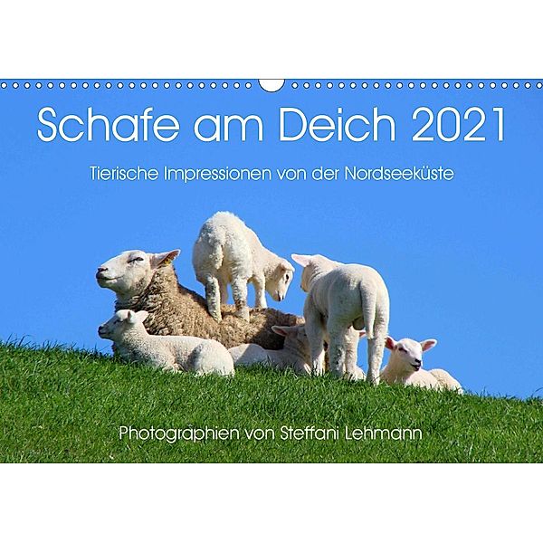 Schafe am Deich 2021. Tierische Impressionen von der Nordseeküste (Wandkalender 2021 DIN A3 quer), Steffani Lehmann