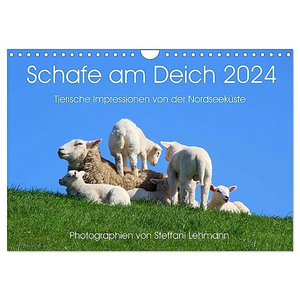 Schafe am Deich 2024. Tierische Impressionen von der Nordseeküste (Wandkalender 2024 DIN A4 quer), CALVENDO Monatskalender, Steffani Lehmann