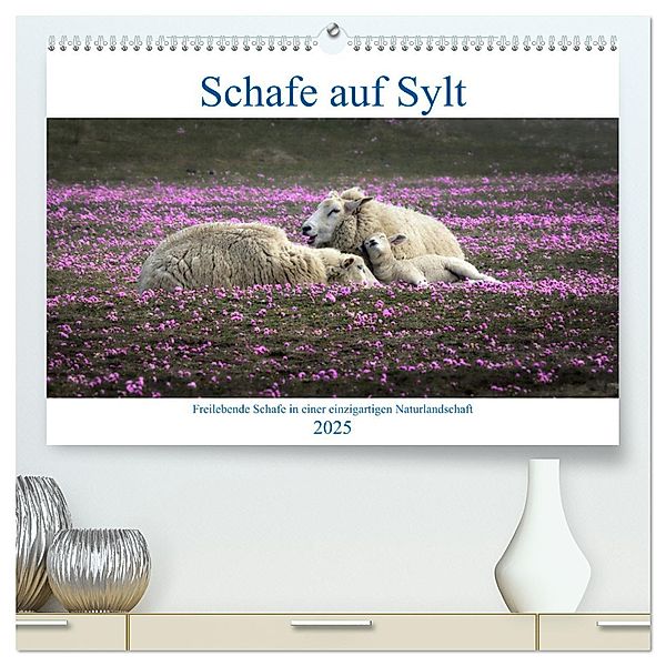 Schafe auf Sylt (hochwertiger Premium Wandkalender 2025 DIN A2 quer), Kunstdruck in Hochglanz, Calvendo, Bodo Balzer