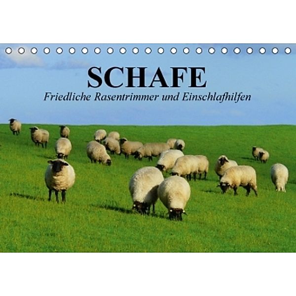 Schafe. Friedliche Rasentrimmer und Einschlafhilfen (Tischkalender 2016 DIN A5 quer), Elisabeth Stanzer