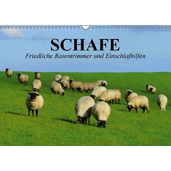 Schafe. Friedliche Rasentrimmer und Einschlafhilfen (Wandkalender 2016 DIN A3 quer), Elisabeth Stanzer