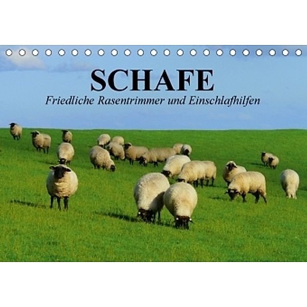 Schafe. Friedliche Rasentrimmer und Einschlafhilfen (Tischkalender 2017 DIN A5 quer), Elisabeth Stanzer