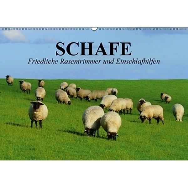 Schafe. Friedliche Rasentrimmer und Einschlafhilfen (Wandkalender 2017 DIN A2 quer), Elisabeth Stanzer