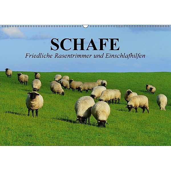 Schafe. Friedliche Rasentrimmer und Einschlafhilfen (Wandkalender 2018 DIN A2 quer), Elisabeth Stanzer