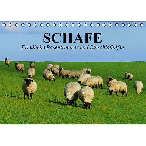 Schafe. Friedliche Rasentrimmer und Einschlafhilfen (Tischkalender 2019 DIN A5 quer), Elisabeth Stanzer