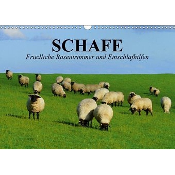 Schafe. Friedliche Rasentrimmer und Einschlafhilfen (Wandkalender 2020 DIN A3 quer), Elisabeth Stanzer