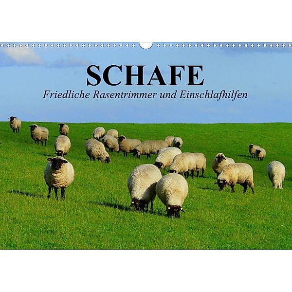 Schafe. Friedliche Rasentrimmer und Einschlafhilfen (Wandkalender 2023 DIN A3 quer), Elisabeth Stanzer
