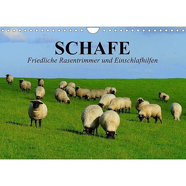 Schafe. Friedliche Rasentrimmer und Einschlafhilfen (Wandkalender 2023 DIN A4 quer), Elisabeth Stanzer