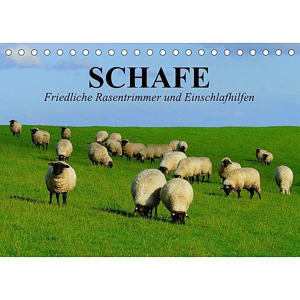 Schafe. Friedliche Rasentrimmer und Einschlafhilfen (Tischkalender 2023 DIN A5 quer), Elisabeth Stanzer