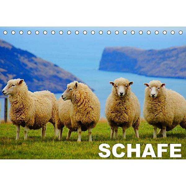 Schafe / Geburtstagskalender (Tischkalender 2023 DIN A5 quer), Elisabeth Stanzer