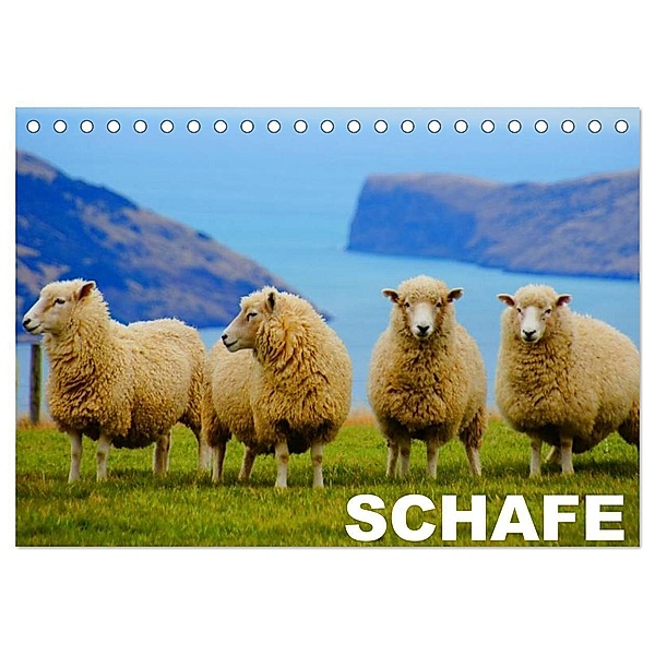 Schafe / Geburtstagskalender (Tischkalender 2024 DIN A5 quer), CALVENDO Monatskalender, Elisabeth Stanzer