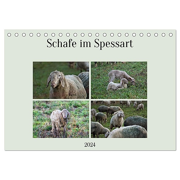 Schafe im Spessart (Tischkalender 2024 DIN A5 quer), CALVENDO Monatskalender, Jessica Meisenzahl