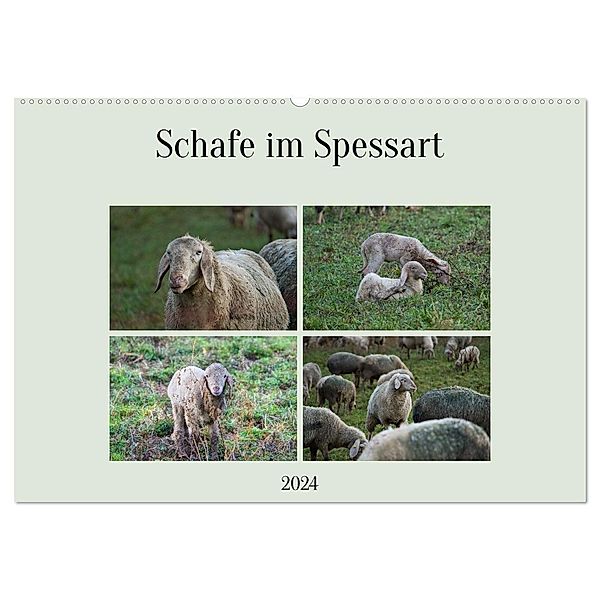 Schafe im Spessart (Wandkalender 2024 DIN A2 quer), CALVENDO Monatskalender, Jessica Meisenzahl