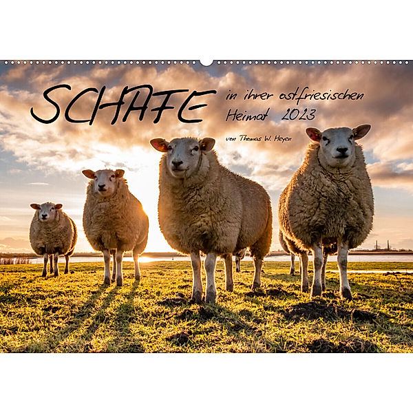 Schafe in ihrer ostfriesischen Heimat 2023 (Wandkalender 2023 DIN A2 quer), Thomas W. Heyen