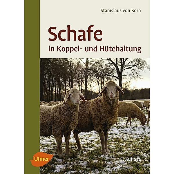 Schafe in Koppel- und Hütehaltung, Stanislaus von Korn