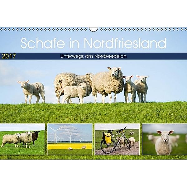 Schafe in Nordfriesland (Wandkalender 2017 DIN A3 quer), Rob Cale