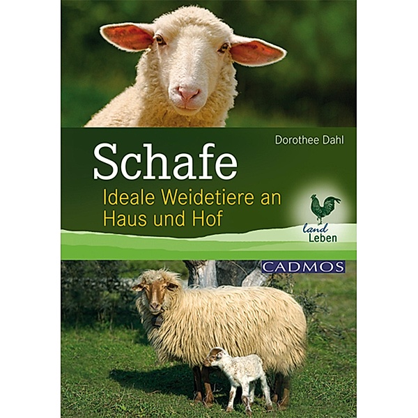 Schafe / Landleben, Dorothee Dahl