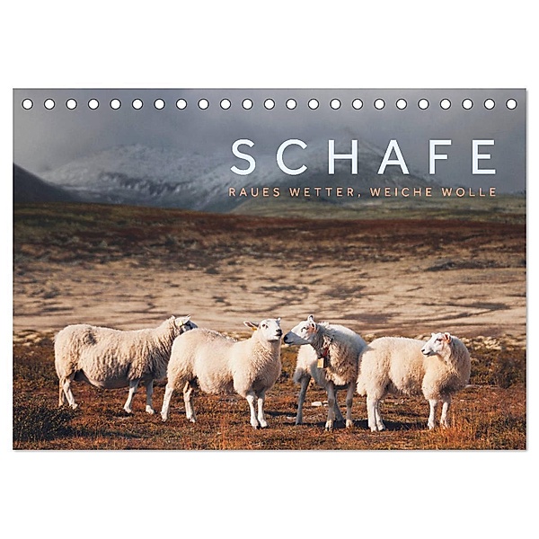 Schafe - Raues Wetter, weiche Wolle (Tischkalender 2024 DIN A5 quer), CALVENDO Monatskalender, Lain Jackson