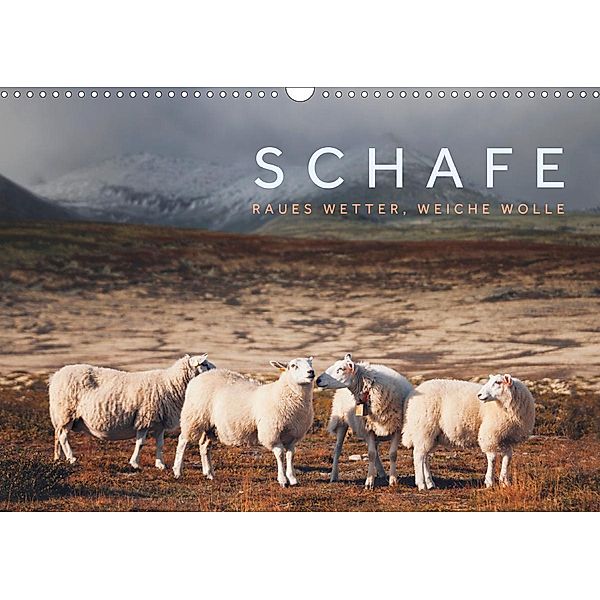 Schafe - Raues Wetter, weiche Wolle (Wandkalender 2020 DIN A3 quer), Lain Jackson