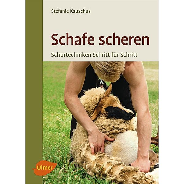 Schafe scheren, Stefanie Kauschus