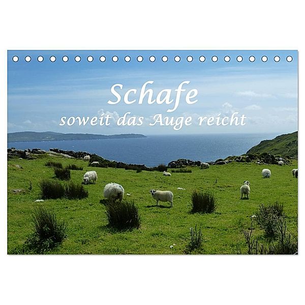 Schafe - soweit das Auge reicht (Tischkalender 2024 DIN A5 quer), CALVENDO Monatskalender, Stefanie und Philipp Kellmann