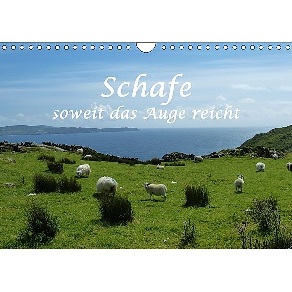 Schafe - soweit das Auge reicht (Wandkalender 2018 DIN A4 quer), Stefanie Kellmann