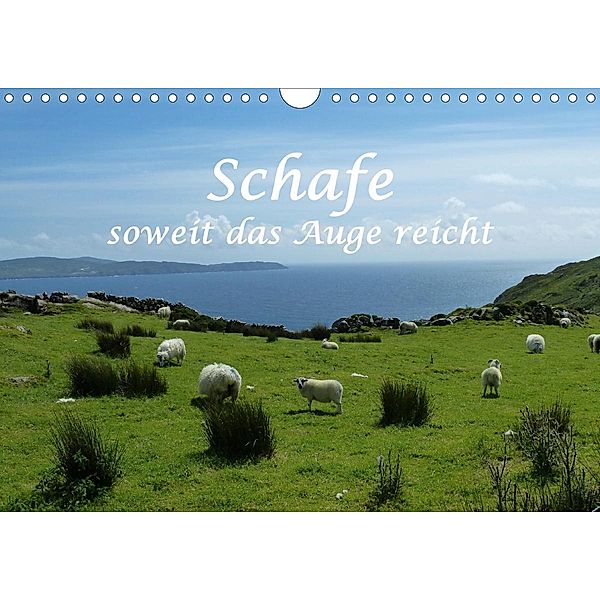 Schafe - soweit das Auge reicht (Wandkalender 2021 DIN A4 quer), Stefanie / Kellmann, Philipp Kellmann