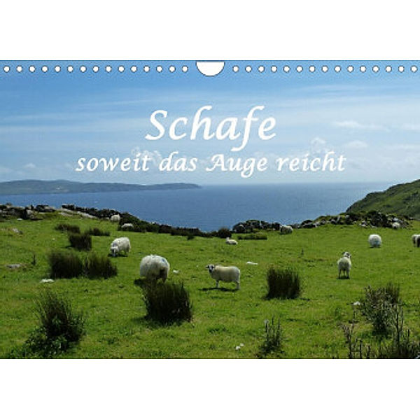 Schafe - soweit das Auge reicht (Wandkalender 2022 DIN A4 quer), Stefanie und Philipp Kellmann