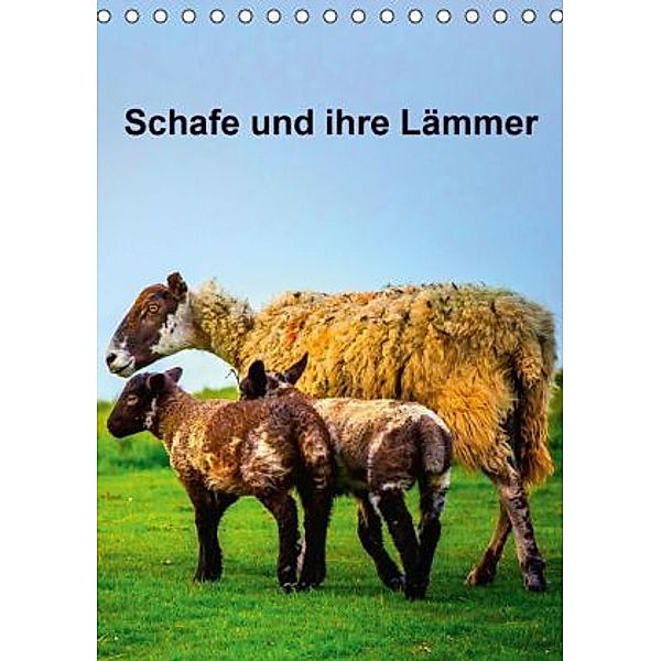 Schafe und ihre Lämmer / Planer (Tischkalender 2016 DIN A5 hoch), Gabriela Wernicke-Marfo