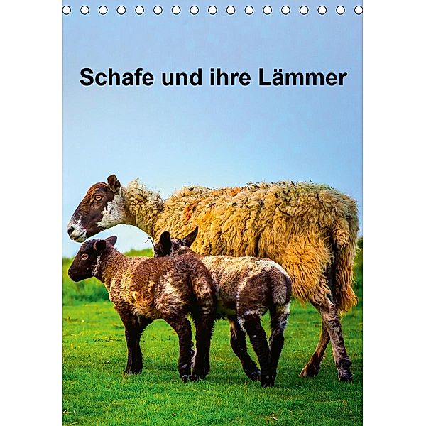 Schafe und ihre Lämmer / Planer (Tischkalender 2021 DIN A5 hoch), Gabriela Wernicke-Marfo