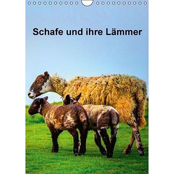 Schafe und ihre Lämmer / Planer (Wandkalender 2016 DIN A4 hoch), Gabriela Wernicke-Marfo