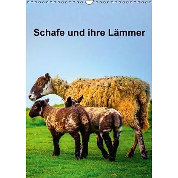 Schafe und ihre Lämmer / Planer (Wandkalender 2016 DIN A3 hoch), Gabriela Wernicke-Marfo