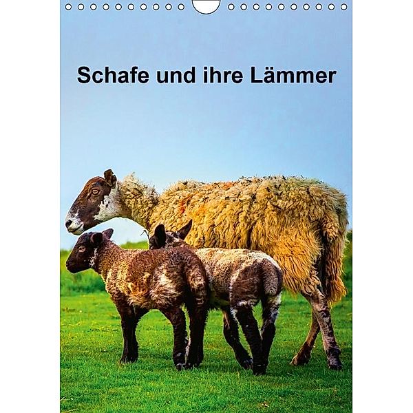 Schafe und ihre Lämmer / Planer (Wandkalender 2017 DIN A4 hoch), Gabriela Wernicke-Marfo